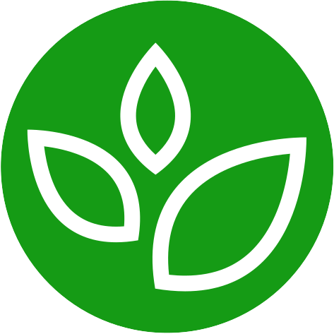 Branch Health Network